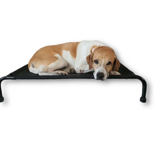 Cama Elevada Para Perro Mediana.