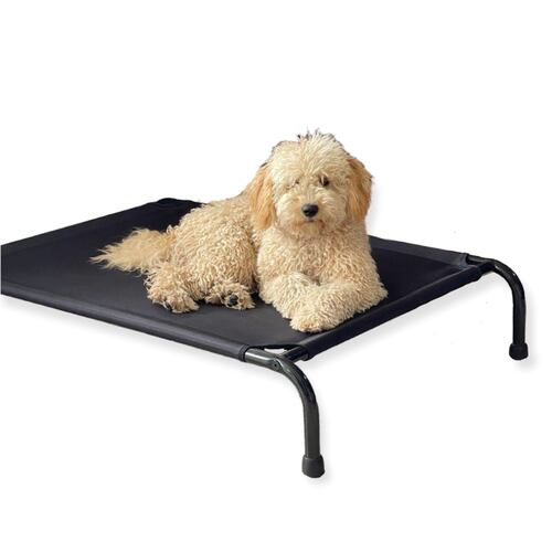 Cama Elevada Para Perro Mediana.
