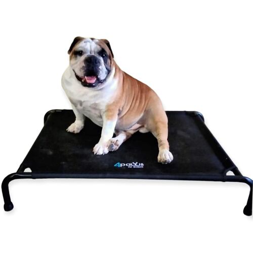 Cama Elevada Para Perro Mediana.