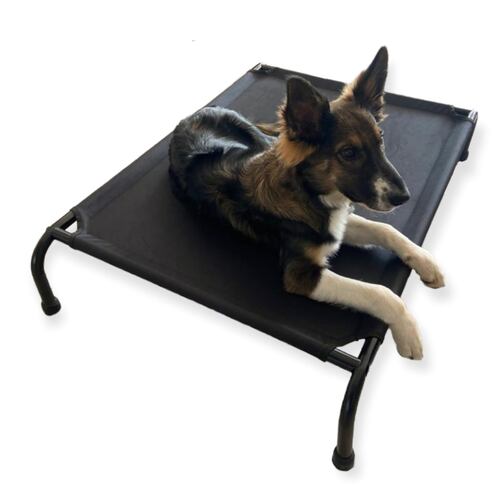 Cama Elevada Para Perro Mediana.
