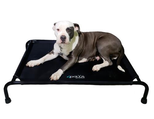 Cama Elevada Para Perro Mediana.