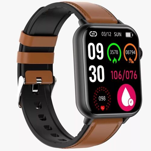 Smart Watch Reloj Inteligente E200 De Piel Fralugio Ecg Spo2.