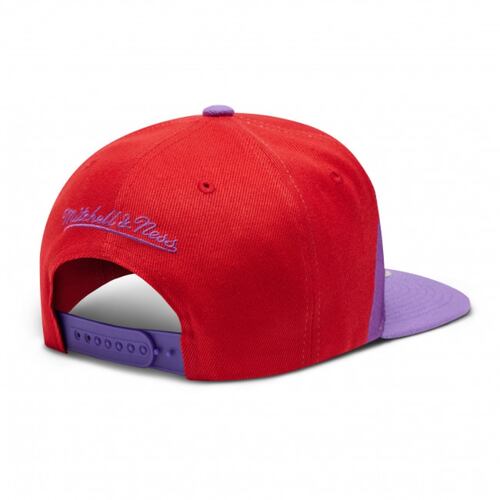 Mitchell & Ness Toronto Raptors.