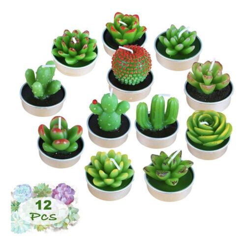 12 Velas Suculenta Cactus Decorativas Artificiales 