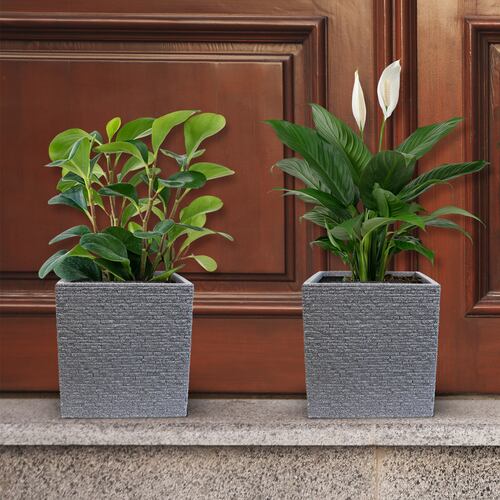 AGBOX Maceta Jardinera Cuadrada Efecto Ladrillo STRATA AG-GN687ASH