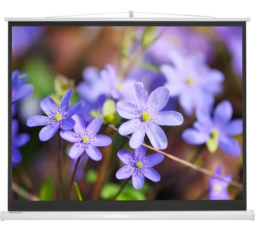 Pantalla Proyeccion Manual Con Tripie 72 Pulgadas
