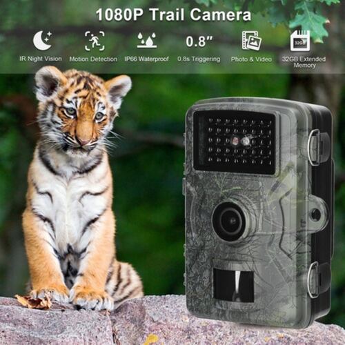 Cámara De Visión Nocturna Para Caza  16mp 1080p Militar