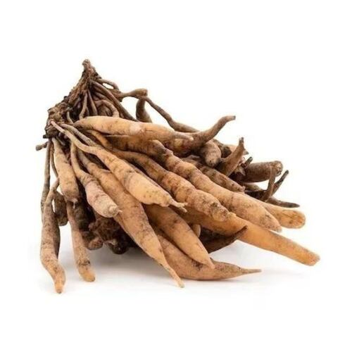 Shatavari Adaptógeno 100g Commons Polvo 100% Orgánico 