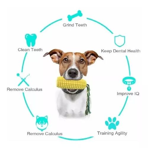 Juguete Para Perro Limpia Dientes Jaladera Cuerda Con Elote