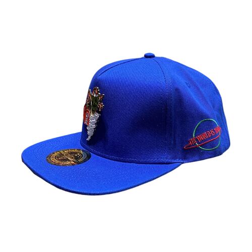 Gorra Snapback Mr. Kash Taz azul MKTT02