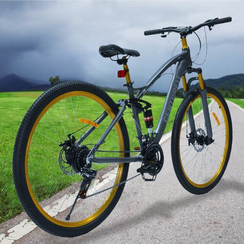 Bicicleta Montaña Aluminio R29 21v Doble Suspension Gris
