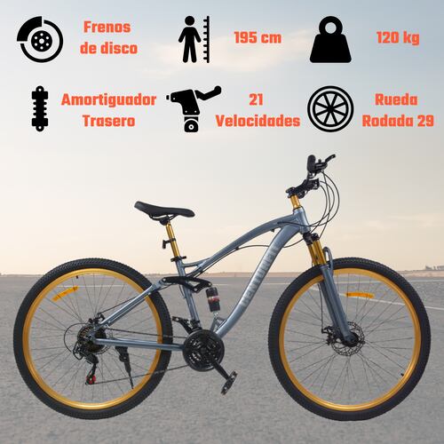 Bicicleta Montaña Aluminio R29 21v Doble Suspension Gris