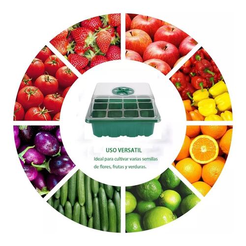 Charolas Germinadoras Semillero Invernadero Tapa 10pz 
