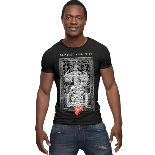 FINA Playera Hombre Alta gama Reg y Slim fit Pakal Maya alien astronauta bar antro 