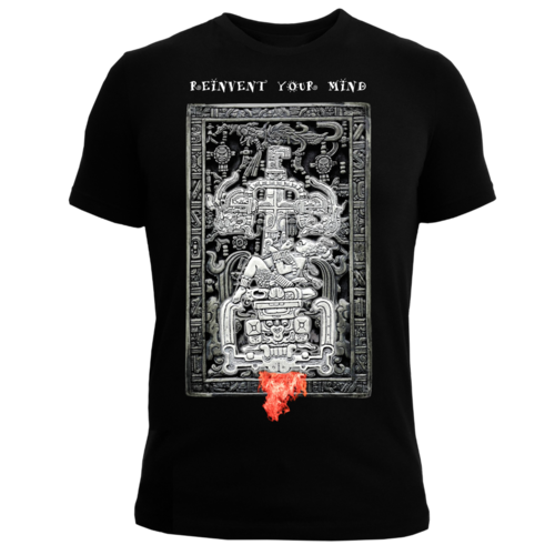 FINA Playera Hombre Alta gama Reg y Slim fit Pakal Maya alien astronauta bar antro 