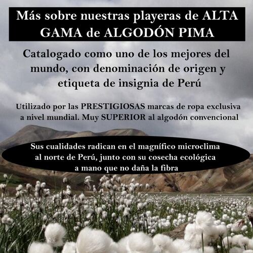 FINA Playera Hombre Alta gama Reg y Slim fit 7 sins ideal antro bar fiesta Halloween