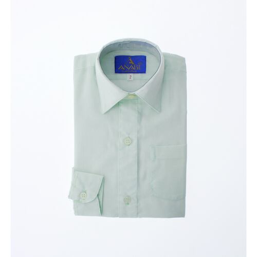 Camisa De Vestir Niño Bebe Color Verde Menta Manga Larga 3578 1 A 4 Años.