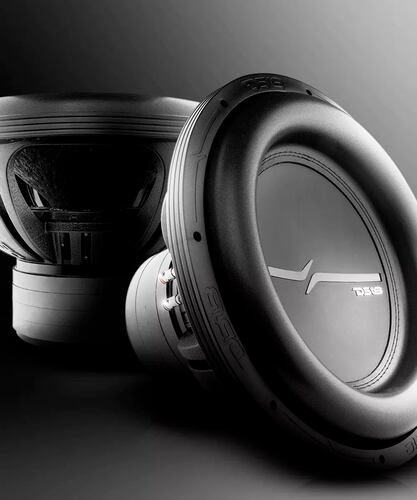 Subwoofer Ds18 Zxi15.2d 2000 Vatios De 15 Pulgadas.