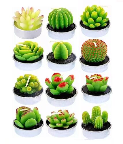 Velas Decorativas Cactus y Suculenta Artificiales 12 Pz