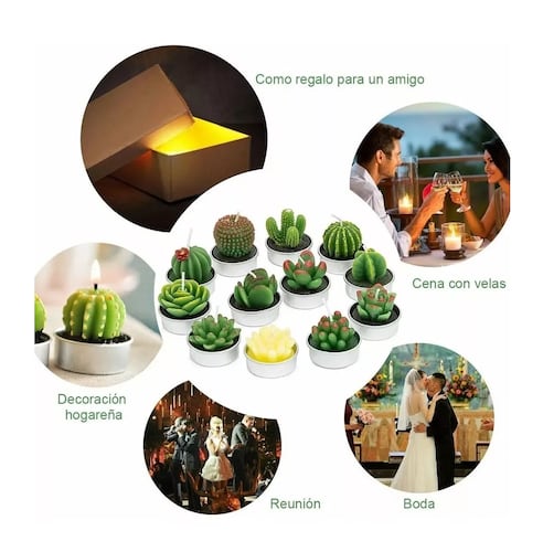Velas Decorativas Cactus y Suculenta Artificiales 12 Pz
