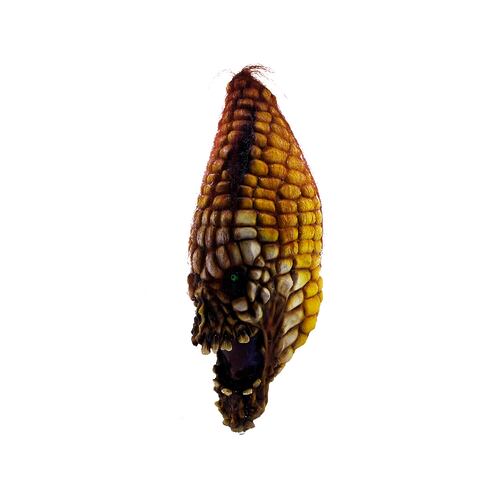 Máscara De Elote Poseído Evil Corn Ghoulish Productions Disfraz para Halloween