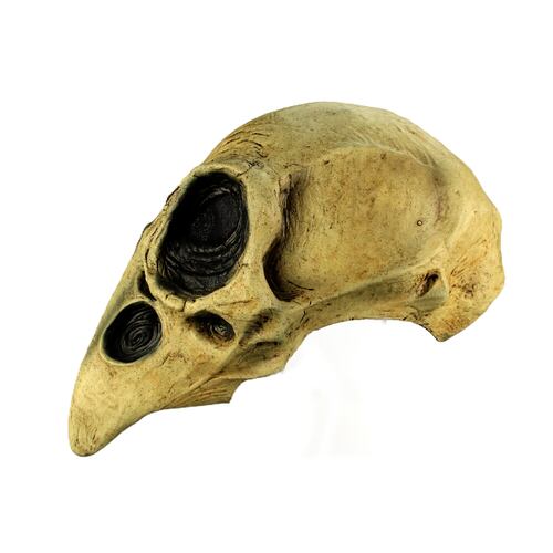 Máscara De Cráneo de Cuervo Crow Skull Ghoulish Productions Disfraz Halloween