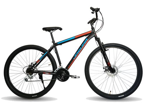 Bicicleta Savage Rodada 29 Suspensión Freno Disco 21 Vel Negro