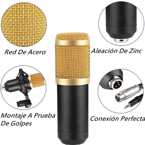 Kit Profesional Microfono Bm 800 Condensador Cardioide Gold