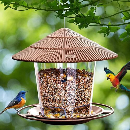 Comederos Para Pájaros Para Pájaros Salvajes Al Aire Libre
