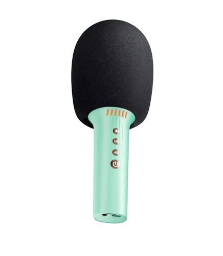 Micrófono De Karaoke Inalámbrico Con Bluetooth Y Bocina Verde