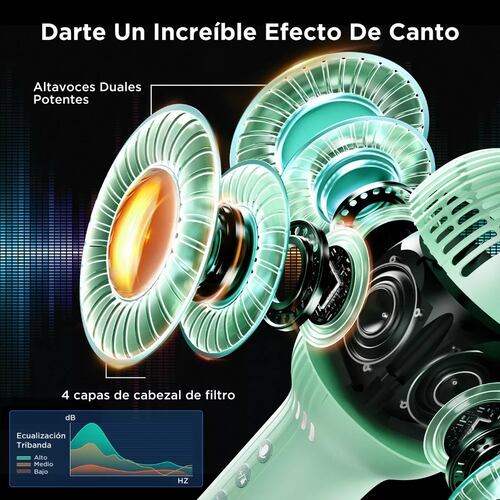 Micrófono De Karaoke Inalámbrico Con Bluetooth Y Bocina Verde
