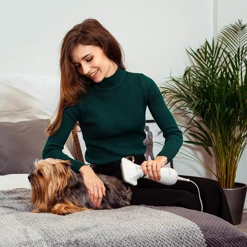 Secadora Para Perros Secador De Pelo Para Mascot 2 En 1