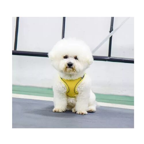 Pechera Arnés Transpirable Con Correa Para Perro Gato Amarillo Mediano