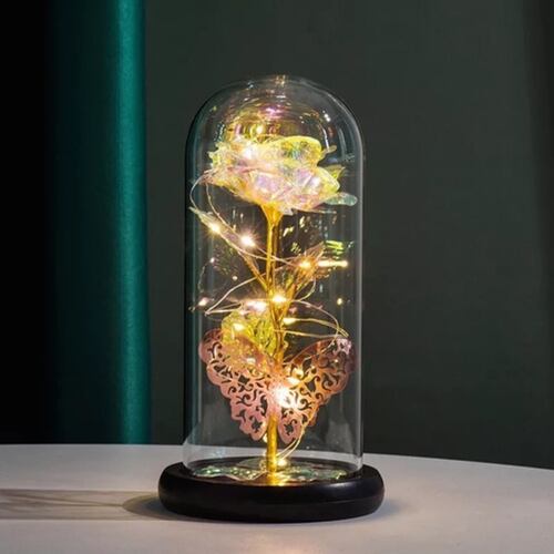 Flor Eterna Rosa Regalos Luz Botella Led Para Ella Con Caja