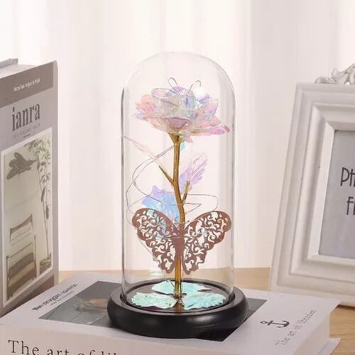 Flor Eterna Rosa Regalos Luz Botella Led Para Ella Con Caja