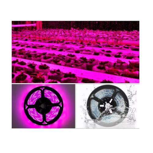 Tira De Luz Led 5m Crecimiento Planta Espectro Completo
