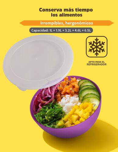 AGBOX Set De 5 Bowls De Plástico Con Tapa ABOX-201.