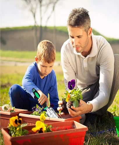 Juego De Herramientas Para Plantar Jardines De 83 Piezas.