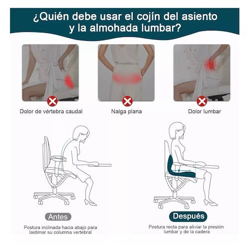Juego De Almohadas De Soporte Lumbar De Cojín De Asiento