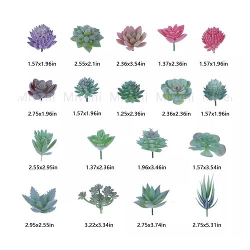 Plantas Suculentas Artificiales Paquete De 18 Plantas Falsas verde