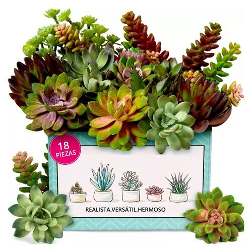 Plantas Suculentas Artificiales Paquete De 18 Plantas Falsas verde