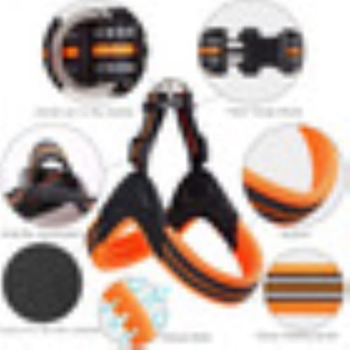 Pechera Correa Perro Reflectante 3 m Acolchado Talla L, Naranja/Negro