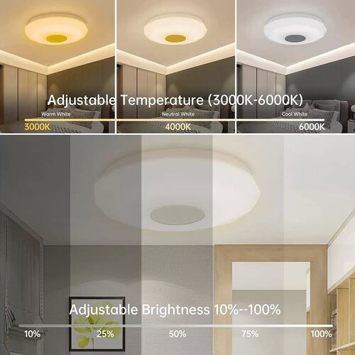 Lámpara De Techo Led Rgb 36 W Y 30cm Con Altavoces Bluetooth
