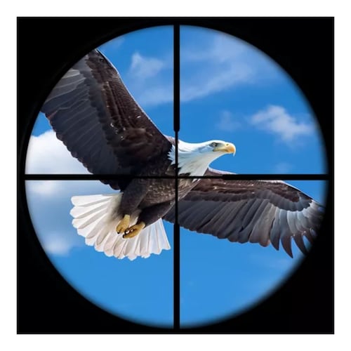 Gamo Mira Telescópica 3-9x40 Óptico Compacto Con Anillo 11mm negro