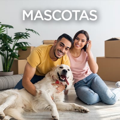 /c/hogar-mascotas/