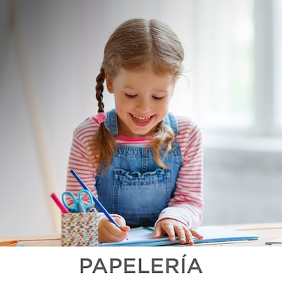 /cat/hogar%20y%20oficina/papeler%C3%ADa%20y%20escritorio?id=106