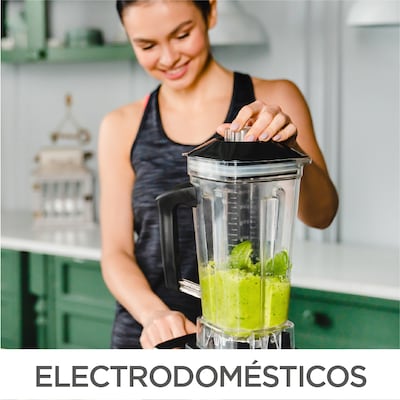 /cat/hogar%20y%20oficina/electrodomésticos?id=108