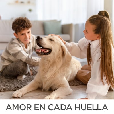 /c/hogar-mascotas/