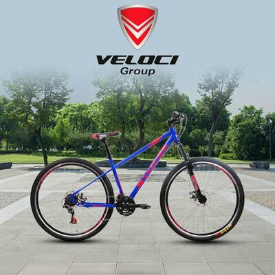 /resultados?query=veloci