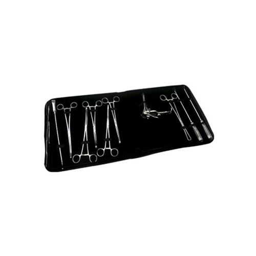 Estuche Equipo Instrumental Legrado 11pzas Hergom Premium